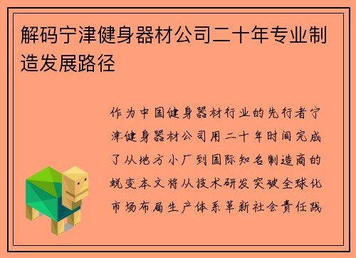 解码宁津健身器材公司二十年专业制造发展路径